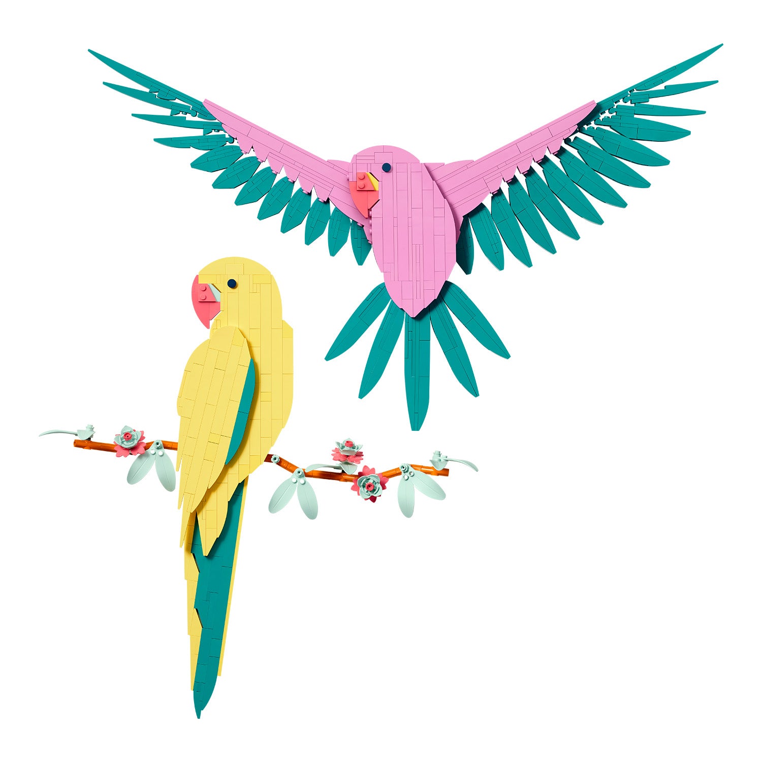 LEGO® Set 31211 Die Fauna Kollektion – Aras