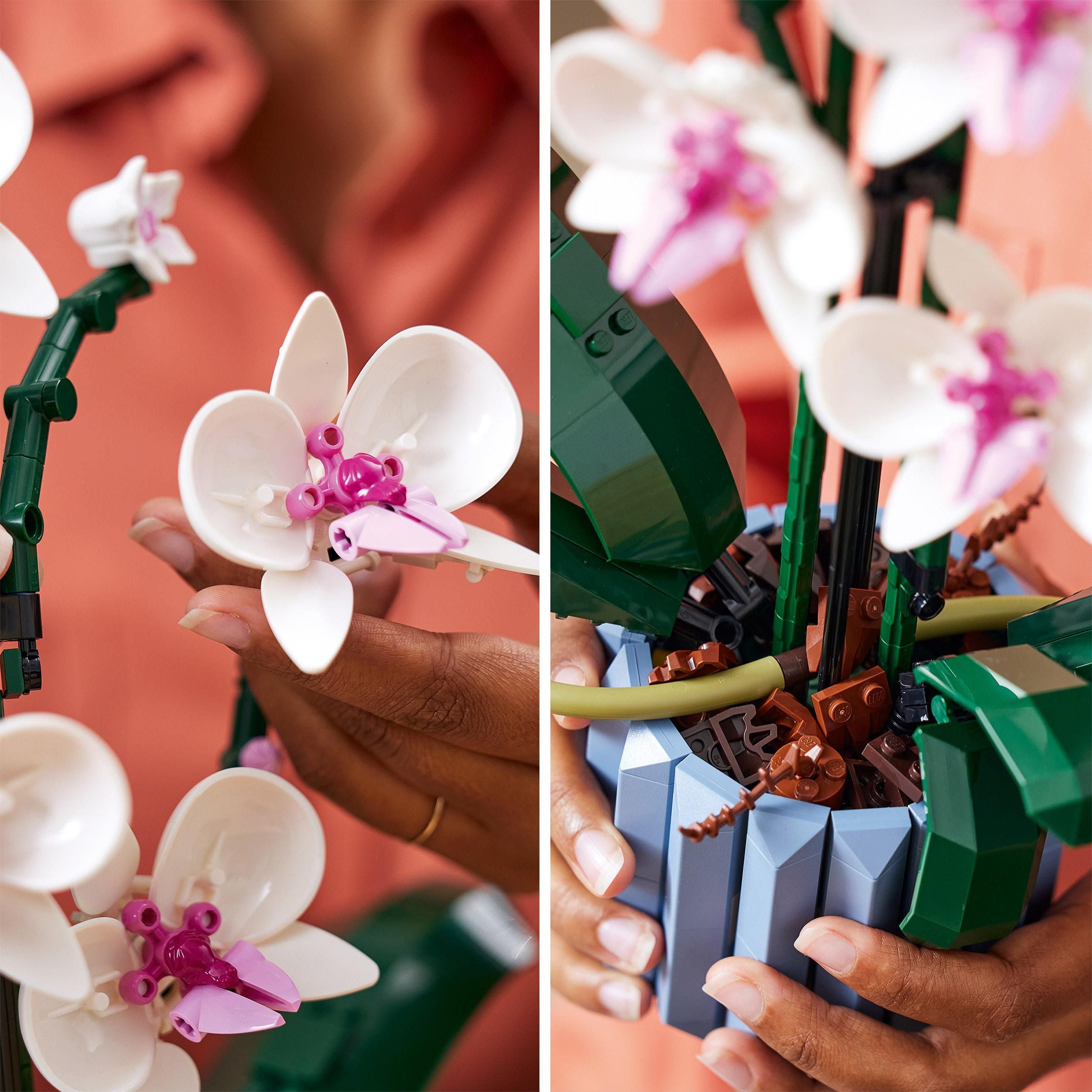 Nahaufnahme von Händen, die eine weiße LEGO Orchidee mit pinkfarbenen Blütenstempeln und grünen Stängeln in einem grauen LEGO Blumentopf halten.