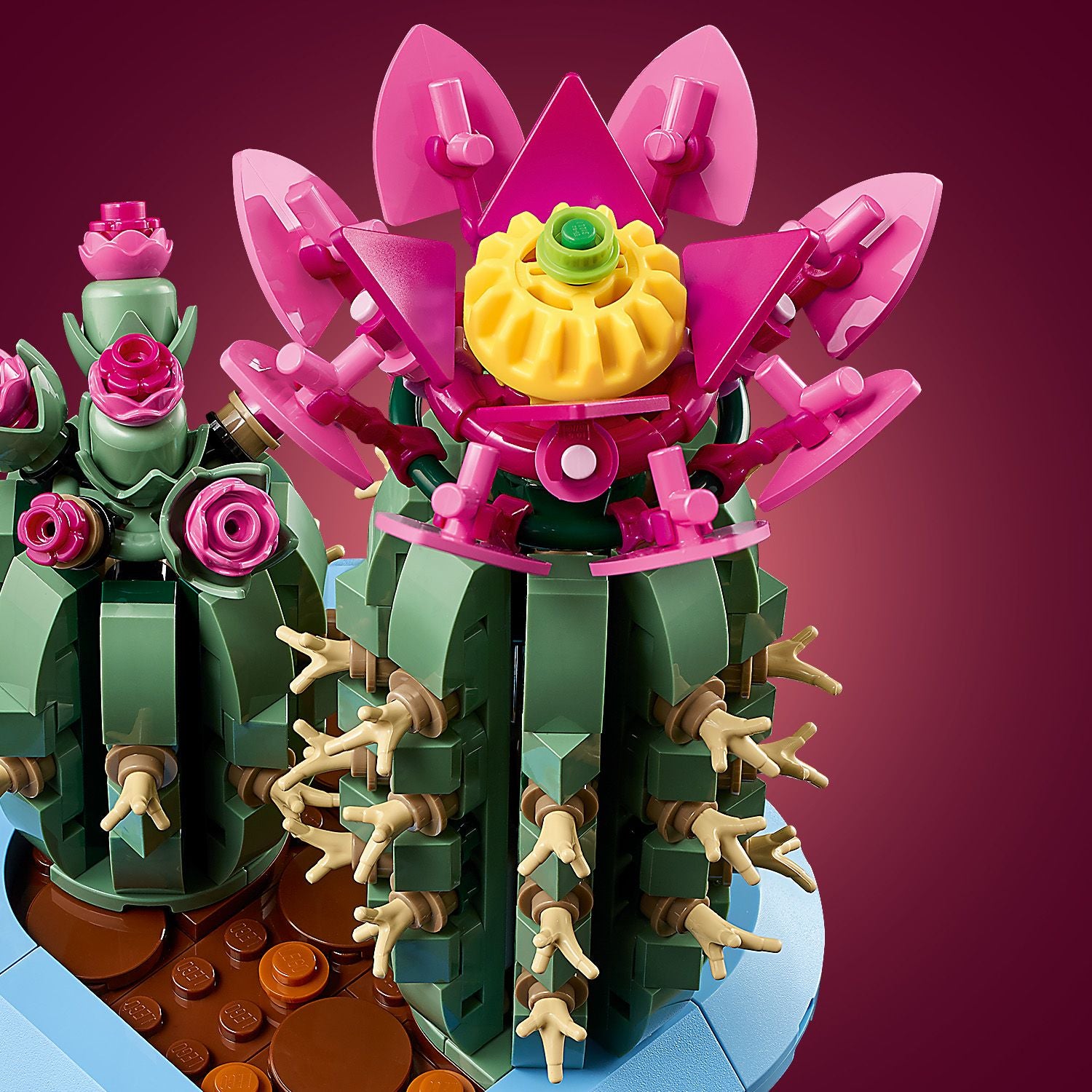 Detailaufnahme eines LEGO Kaktus aus der LEGO Botanicals Serie mit grünen Segmenten, kleinen beige-farbenen Dornen und pinken Blüten sowie einer gelben Blüte an der Spitze.