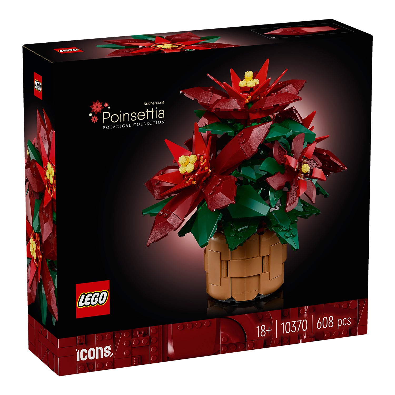 Vorderseite Karton LEGO Weihnachtsstern