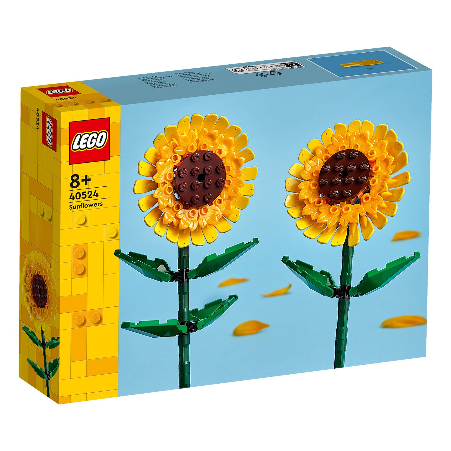 40524 Sonnenblumen