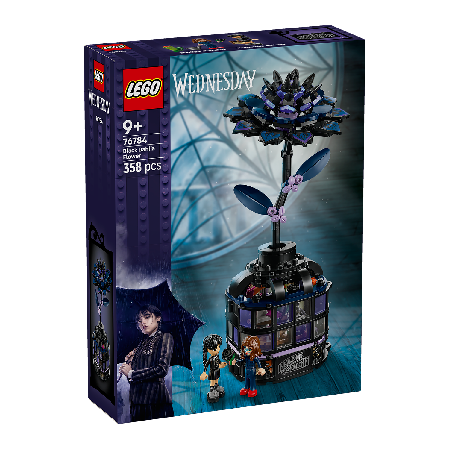 76784 Schwarze Dahlie