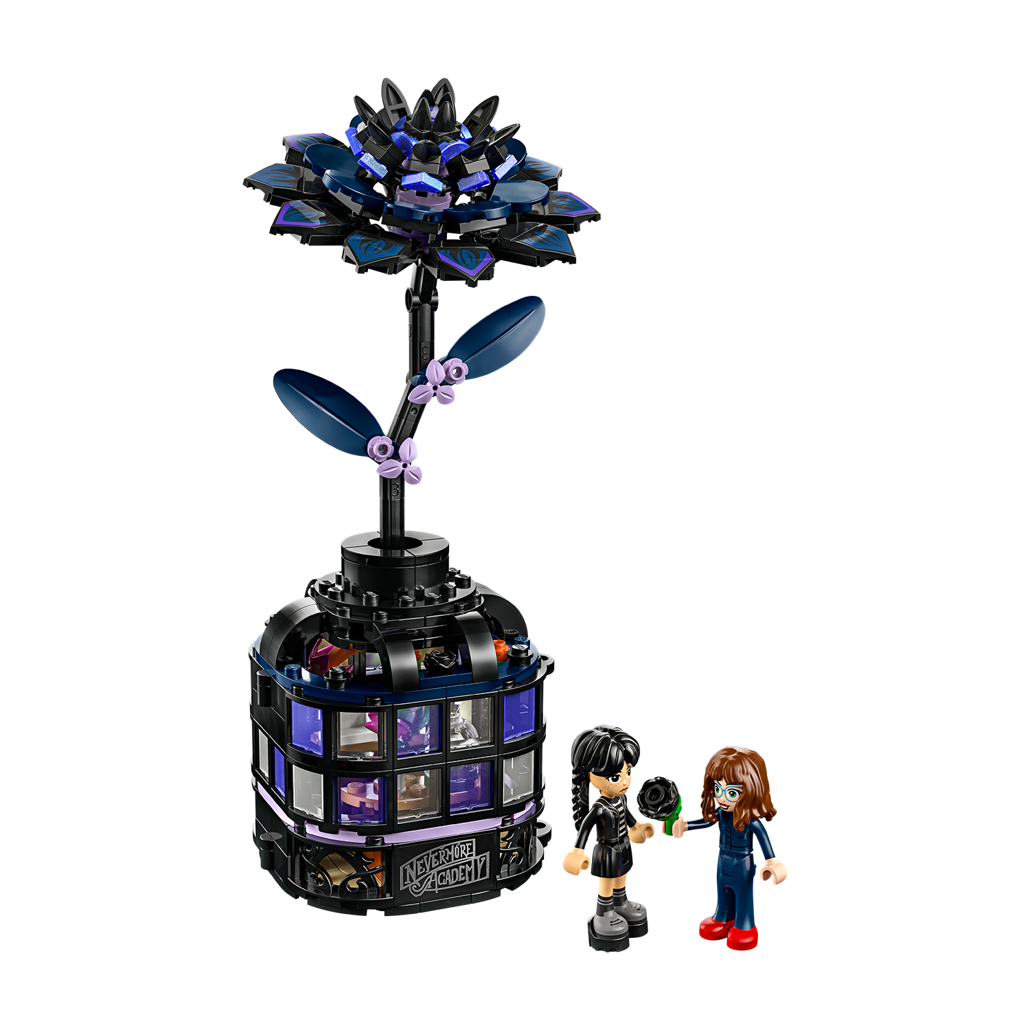 76784 Schwarze Dahlie
