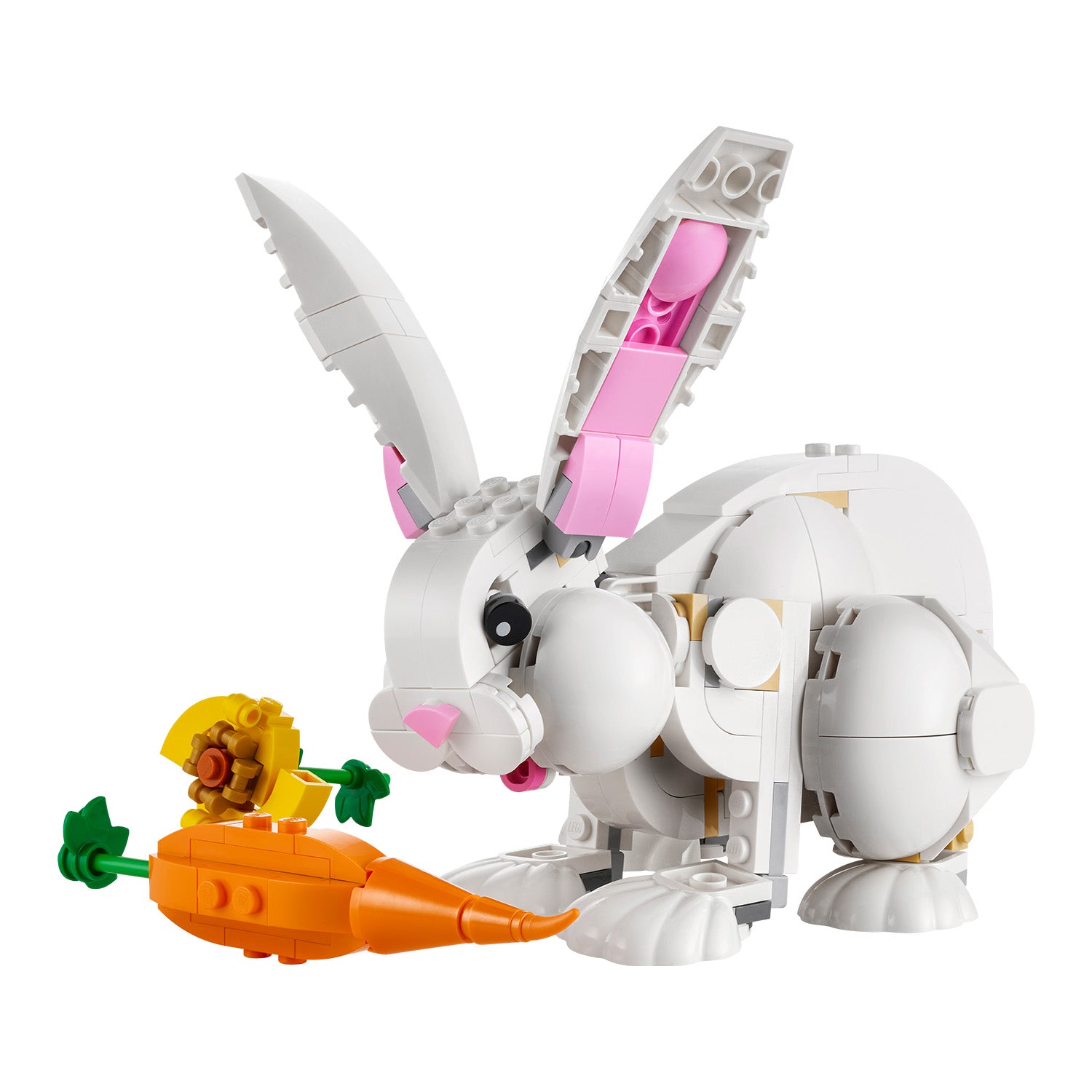 31133 Weißer Hase