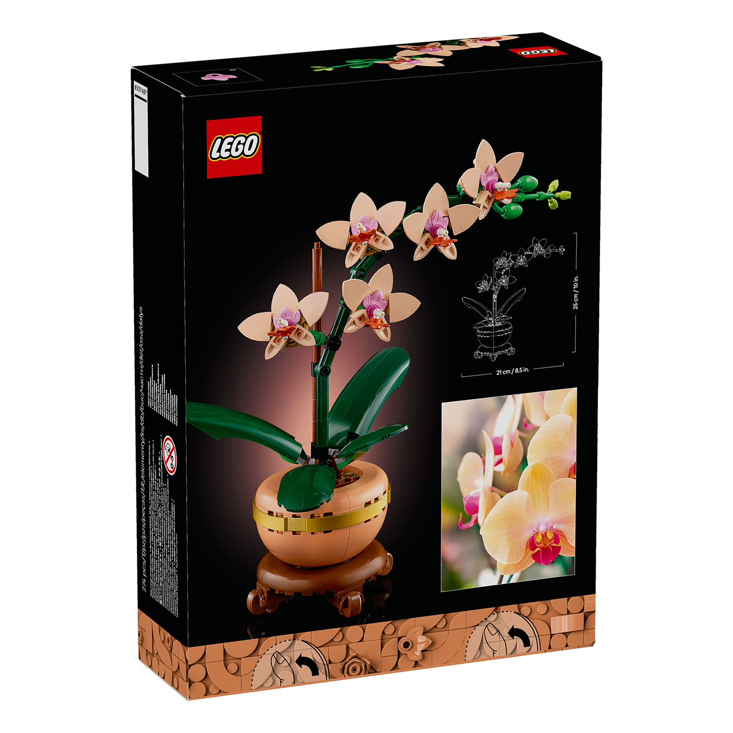 10343 Mini-Orchidee