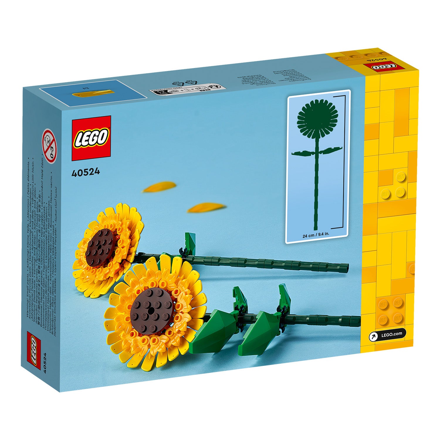 40524 Sonnenblumen